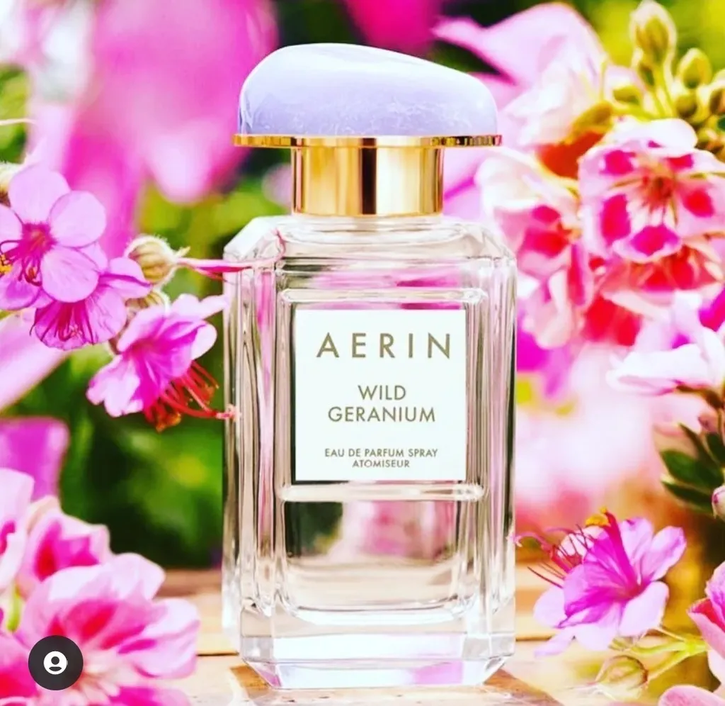Aerin Wild Geranium