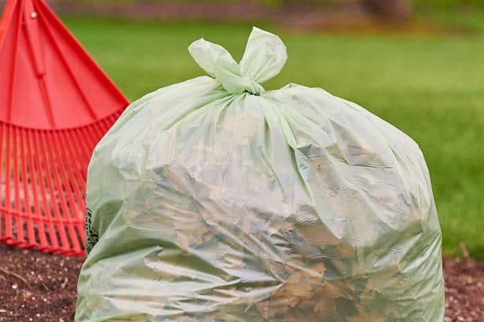Compostable Bags 01