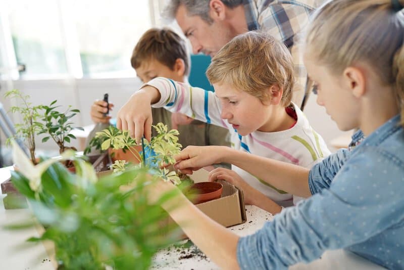 Indoor Gardening