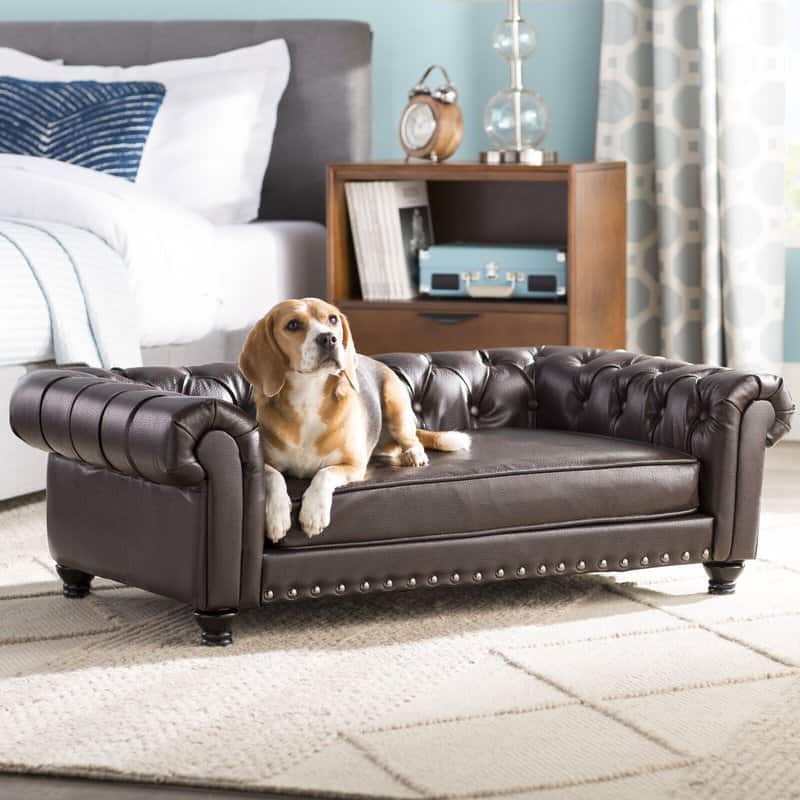 Make Your Home and Your Pets Happy With These Stylish Beds