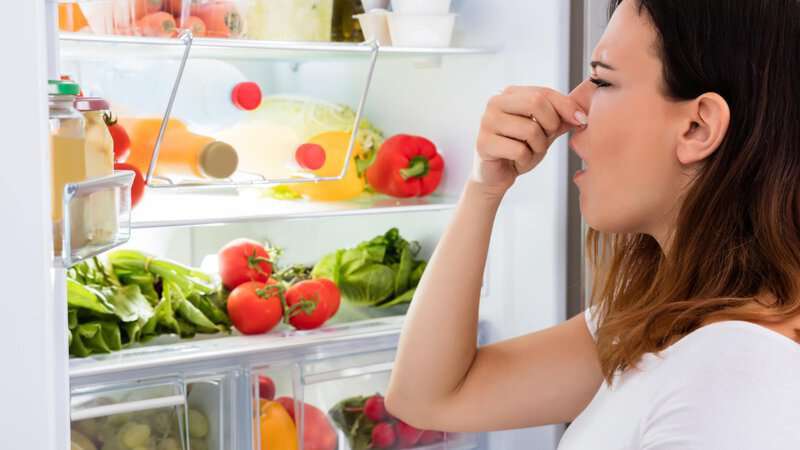 Neglecting The Refrigerator