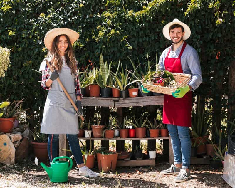 Rent Your Backyard For Gardening
