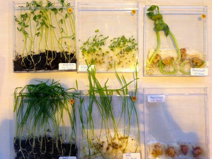 61468b2dad4967dbeeec716daace3610