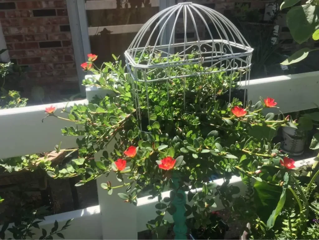 Fb Img 1670655134398