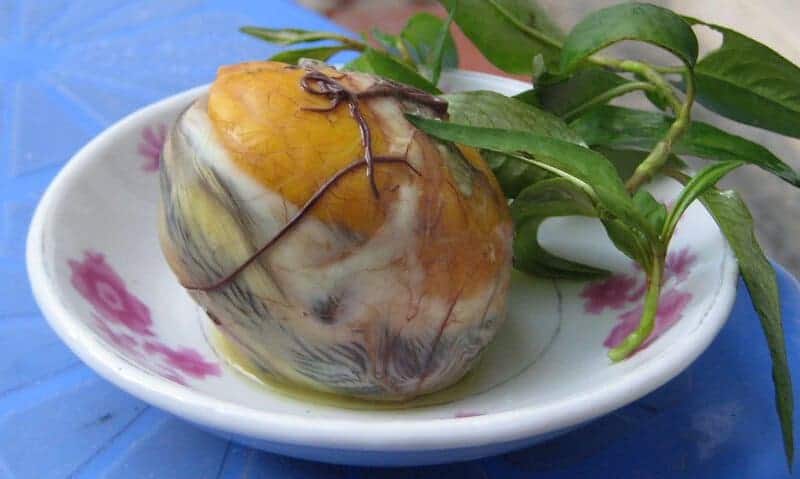 2. Balut - Philippines