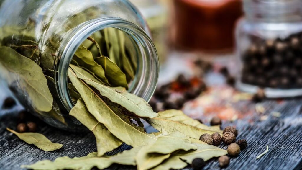 Can you eat bay leaves cc0 pixabay monicore 220530