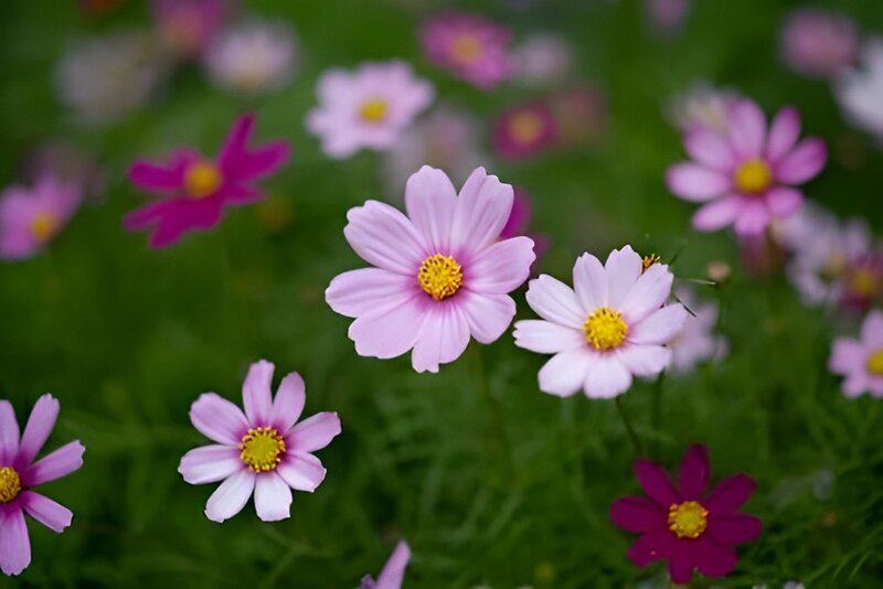 Download 2025 05 29t130113.937 (1)