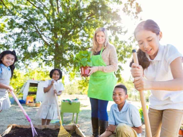 7. Gardening and Plant Care