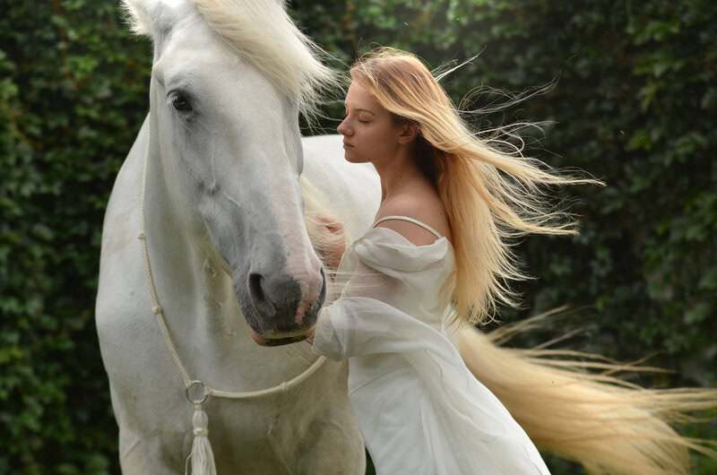 Too Majestic For Humans: 25 Regal Facts That Prove Horses Are Royalty, Not Pets