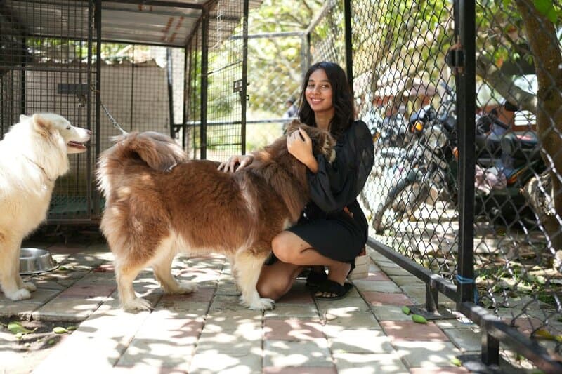 23 Low-Maintenance Pets That Are Still Fun and Lovable