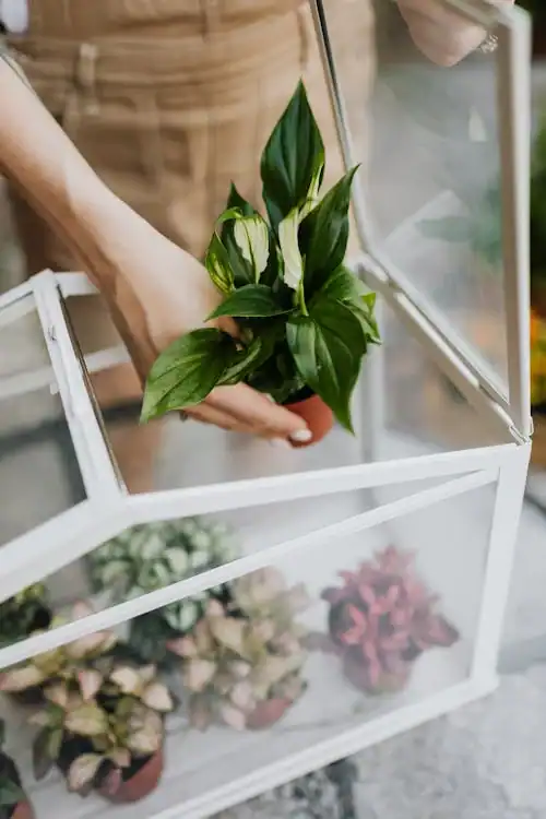 Pexels photo 4750348