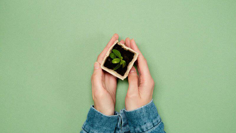 17. Eco-Friendly Practices