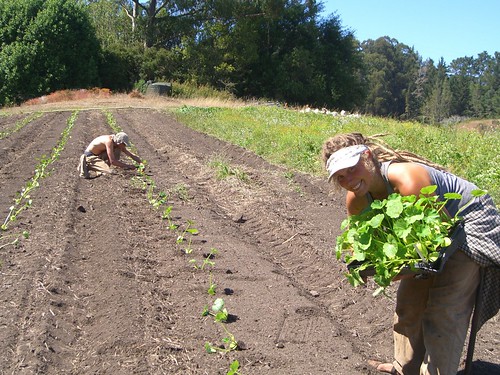 1098788265 440895d86b