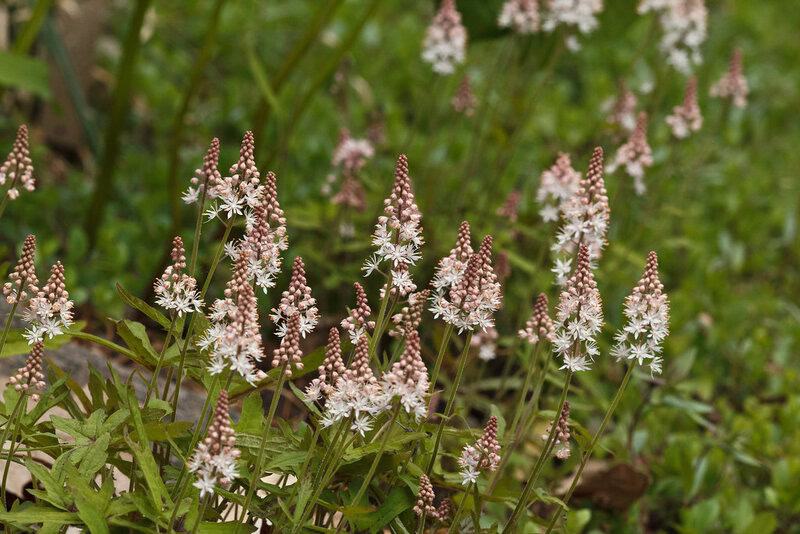 14053451562 a1fdf41383 b