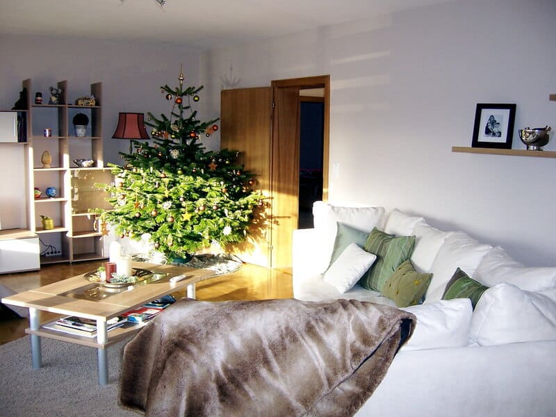 331725949 2cb1aaf9cd b