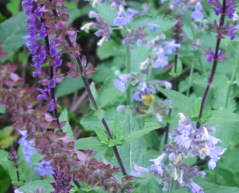 4728146286 377bbf59a9 b