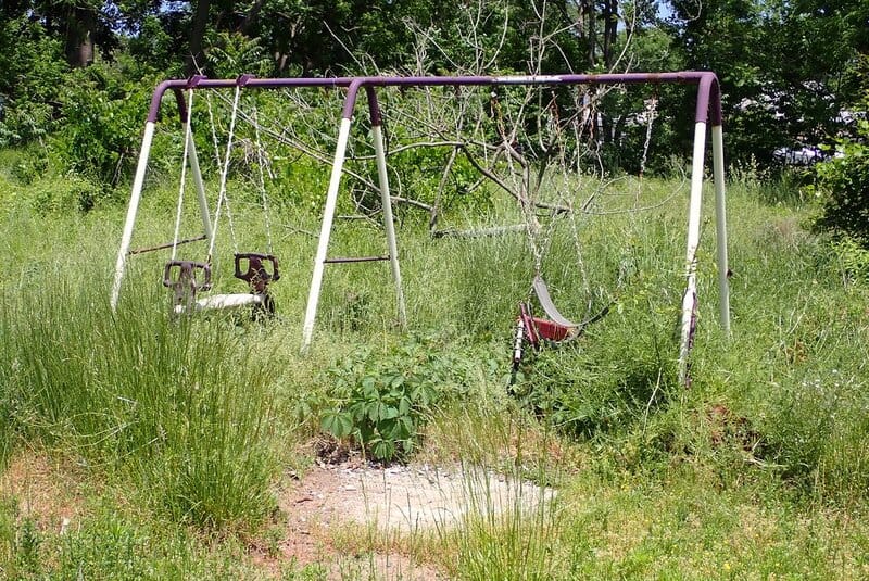 51206536049 7505423d70 b