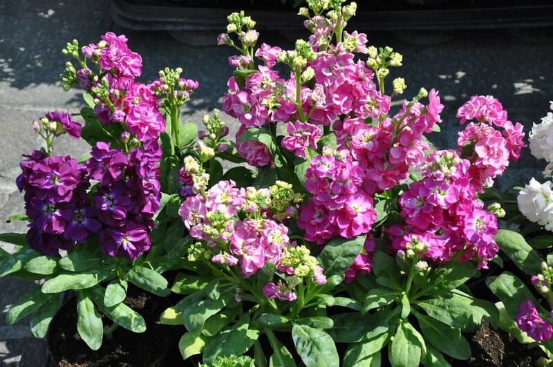 5634773412 ca1e3f6351 b