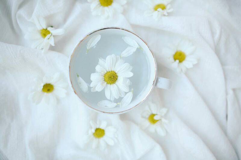11. Chamomile