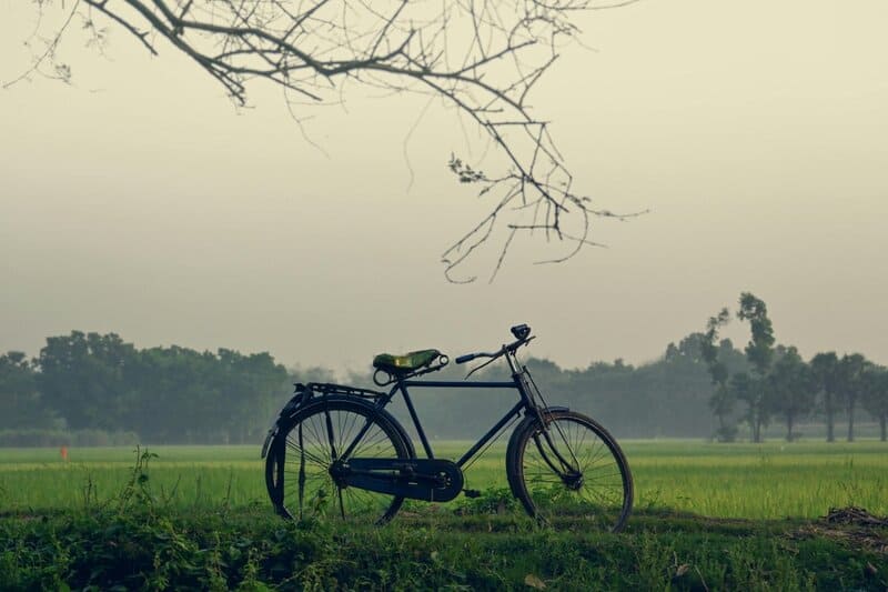 4. The Cycle of Rumination