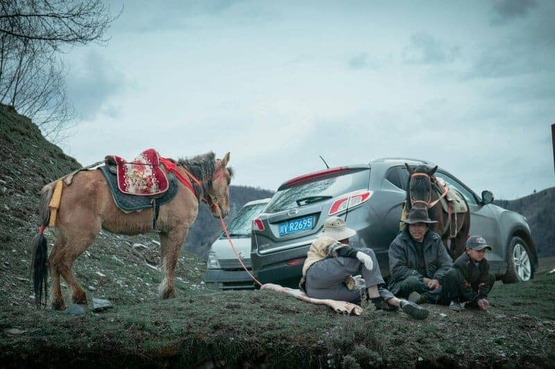 20. Staying Open to Nonlinear Paths