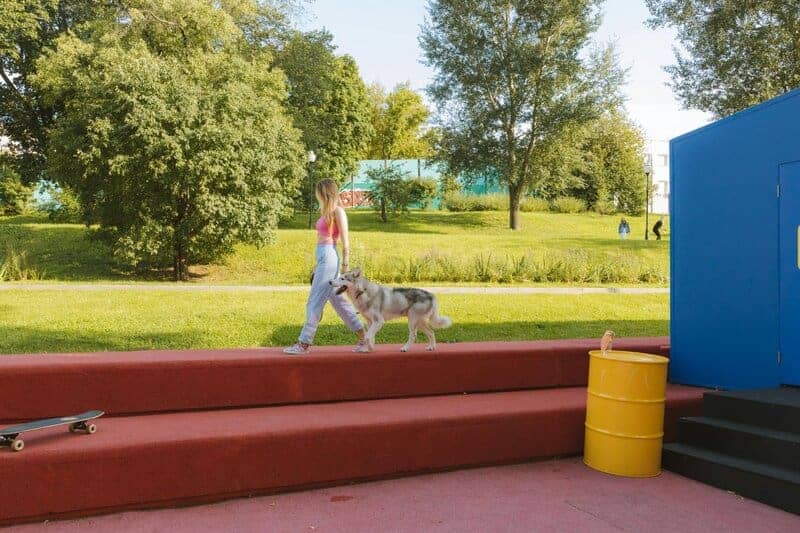 13. Accessibility of Daily Movement