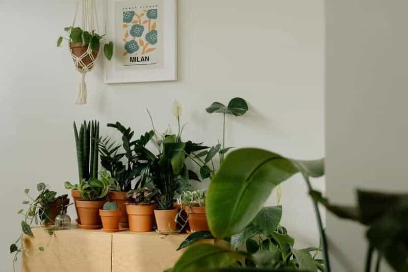 3. Faux Plants and Flowers