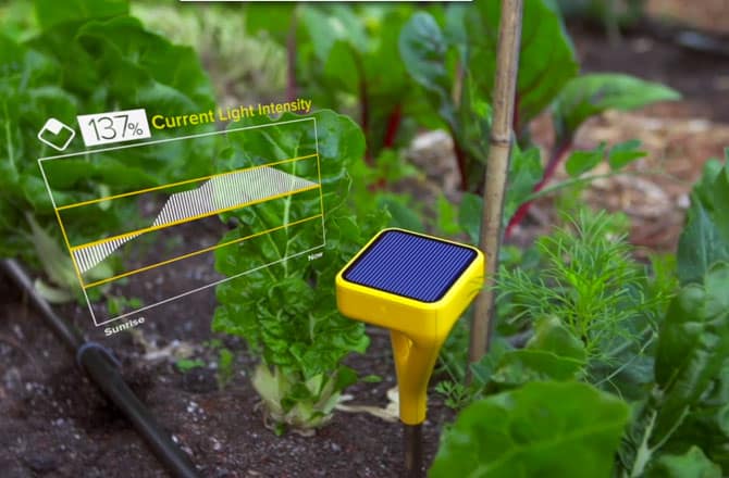 Smart garden system