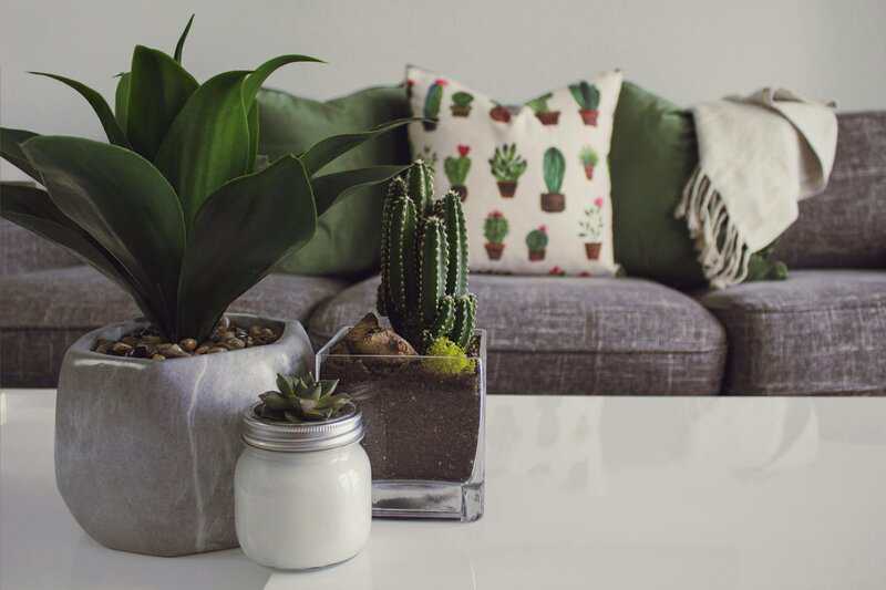 3. Add Houseplants for Air Purification