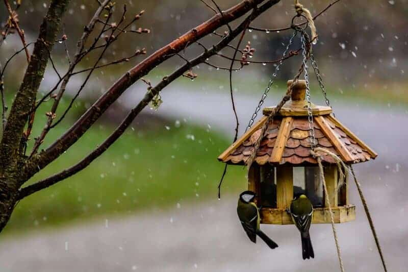 30. Bird Feeders Outside the Window