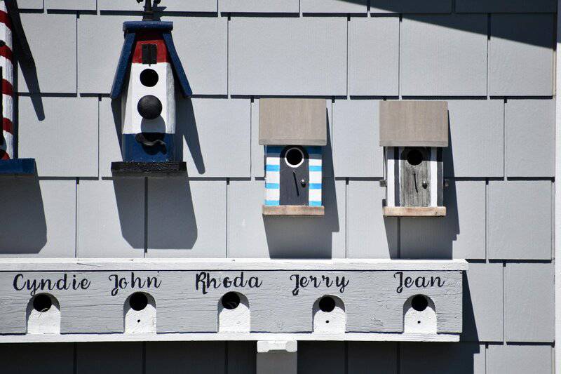 20. Primary Blue → Cerulean