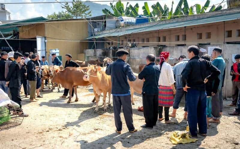 11. Community Connections