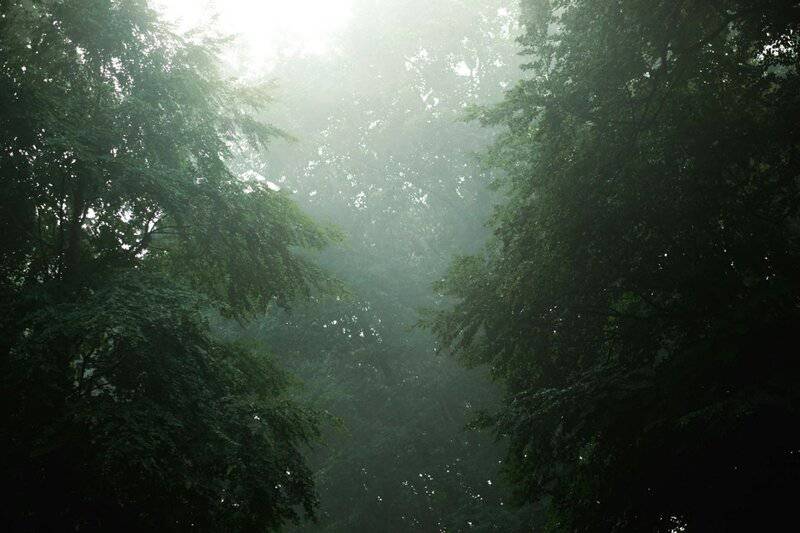 13. Vitamin D Absorption