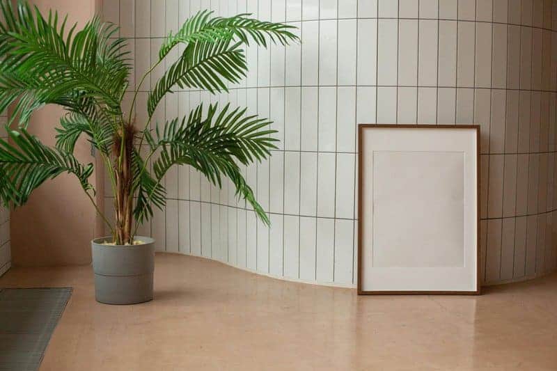 4. Charcoal Black → Deep Greens