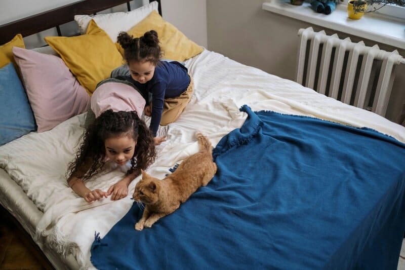 13. Fewer Sleep Interruptions from Pets or Children