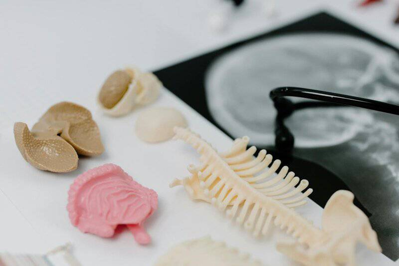 14. Gut-Brain Axis Support