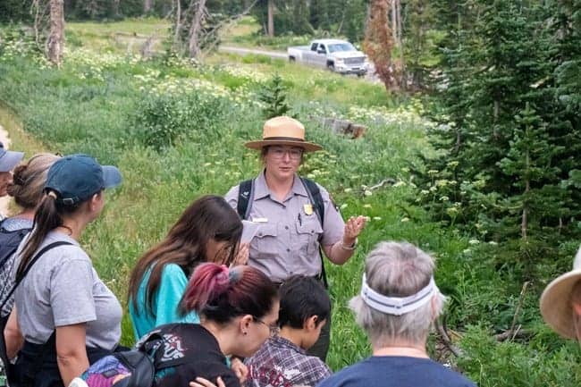 16. Festivals and Events