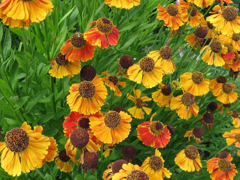 4861389198 d69d6e345c b